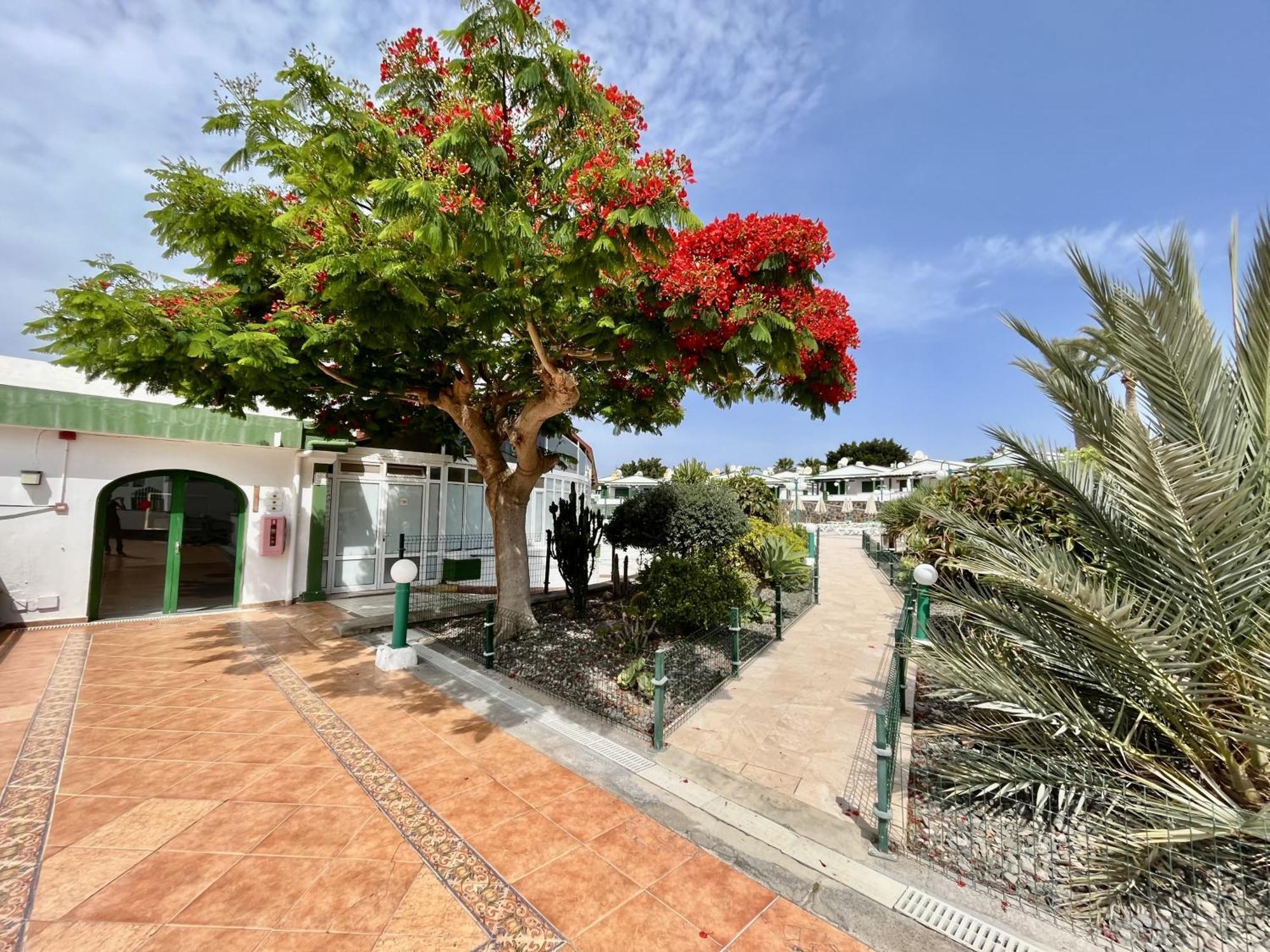 En Complejo Tranquilo En * Maspalomas (Gran Canaria)